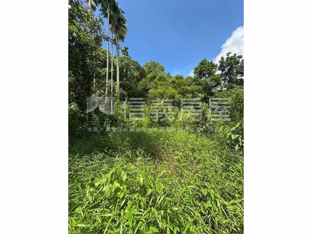 南投集集山坡地保育區土地房屋室內格局與周邊環境