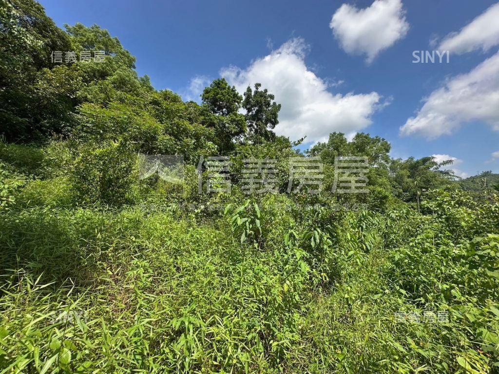南投集集山坡地保育區土地房屋室內格局與周邊環境