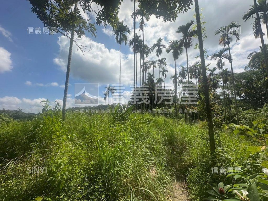 南投集集山坡地保育區土地房屋室內格局與周邊環境