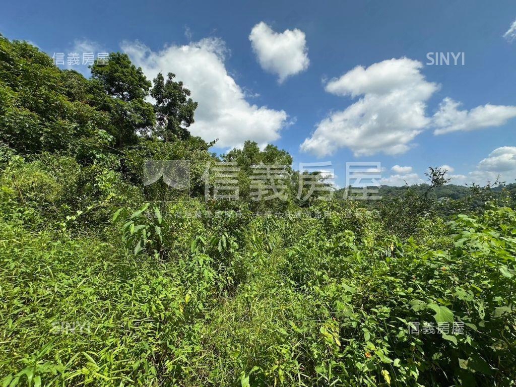 南投集集山坡地保育區土地房屋室內格局與周邊環境