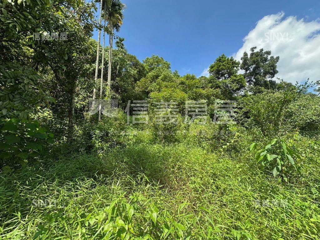 南投集集山坡地保育區土地房屋室內格局與周邊環境