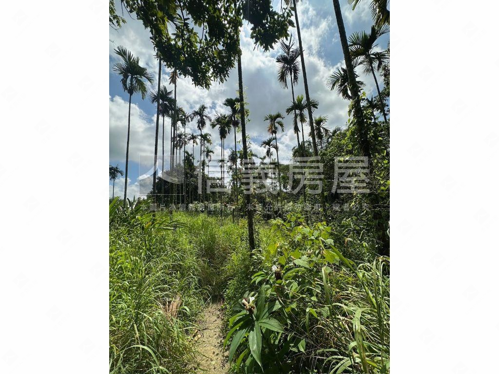 南投集集山坡地保育區土地房屋室內格局與周邊環境