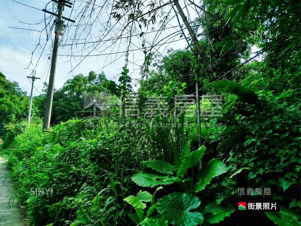 土城永豐段優質土地房屋室內格局與周邊環境