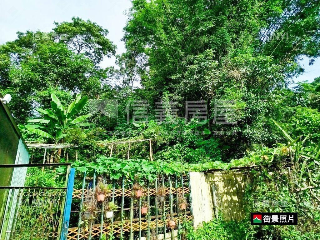 土城永豐段優質土地房屋室內格局與周邊環境