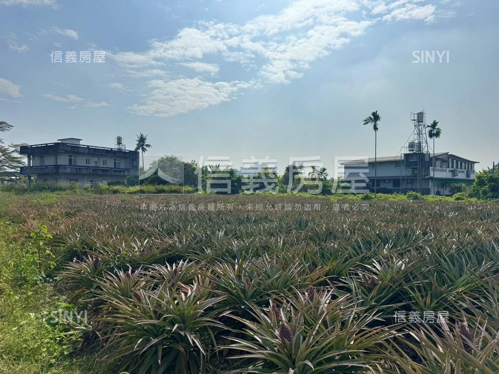 屏東義大醫院旁稀有都農房屋室內格局與周邊環境