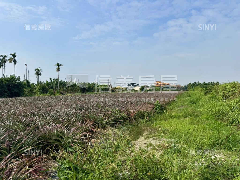 屏東義大醫院旁稀有都農房屋室內格局與周邊環境