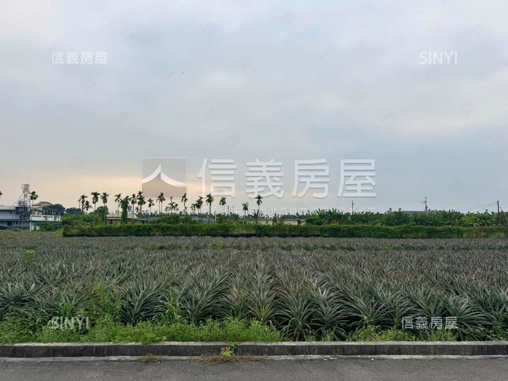 屏東義大醫院旁稀有都農房屋室內格局與周邊環境