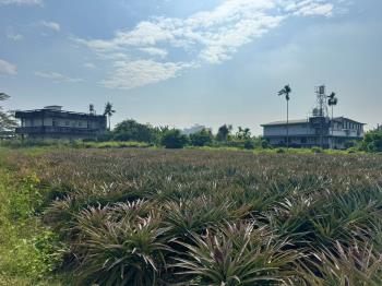 屏東義大醫院旁稀有都農
