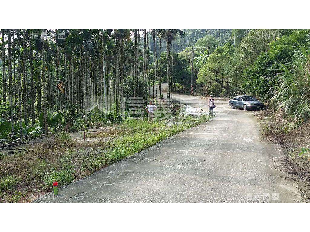 心台農場旁美農地２房屋室內格局與周邊環境