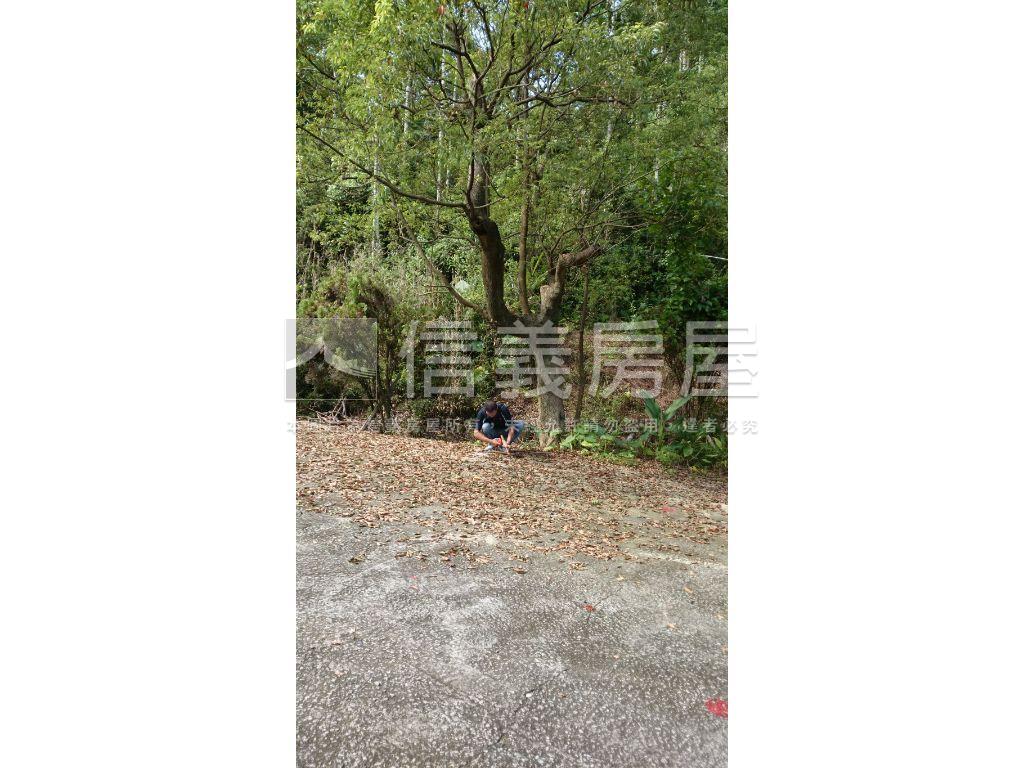 心台農場旁美農地２房屋室內格局與周邊環境