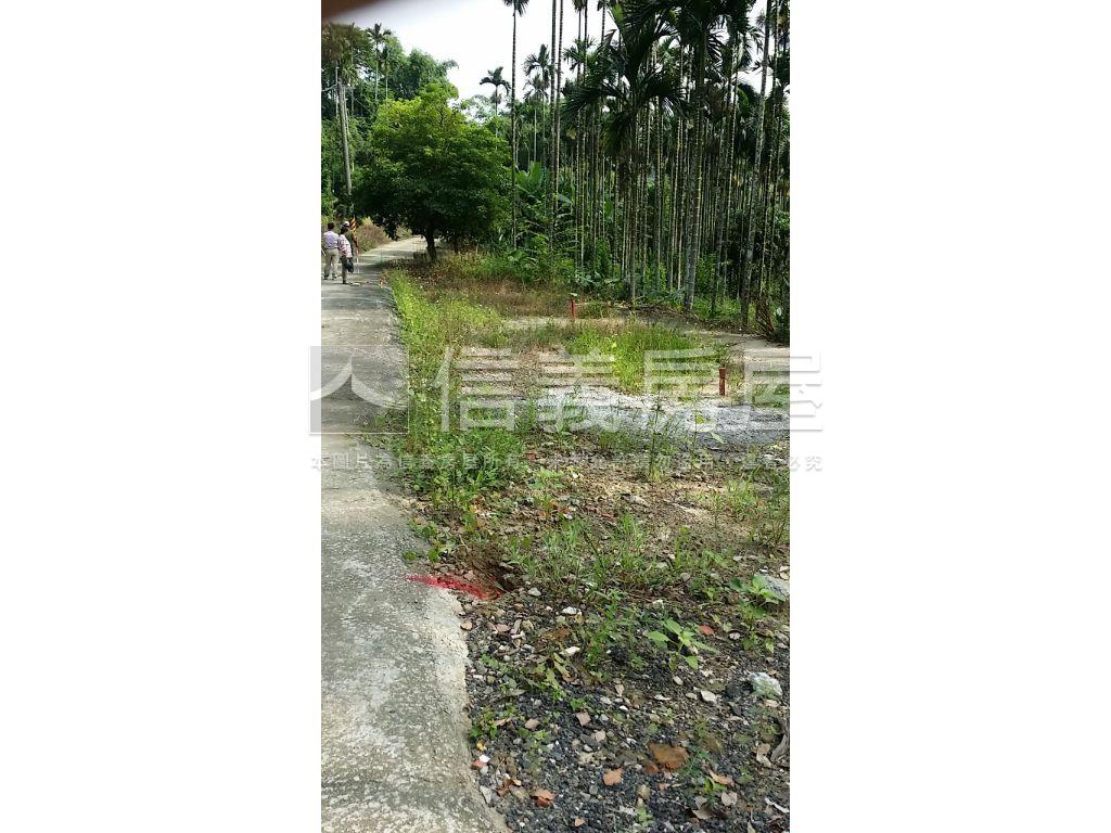 心台農場旁美農地２房屋室內格局與周邊環境