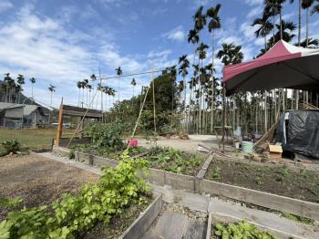 南投埔里陽光透天