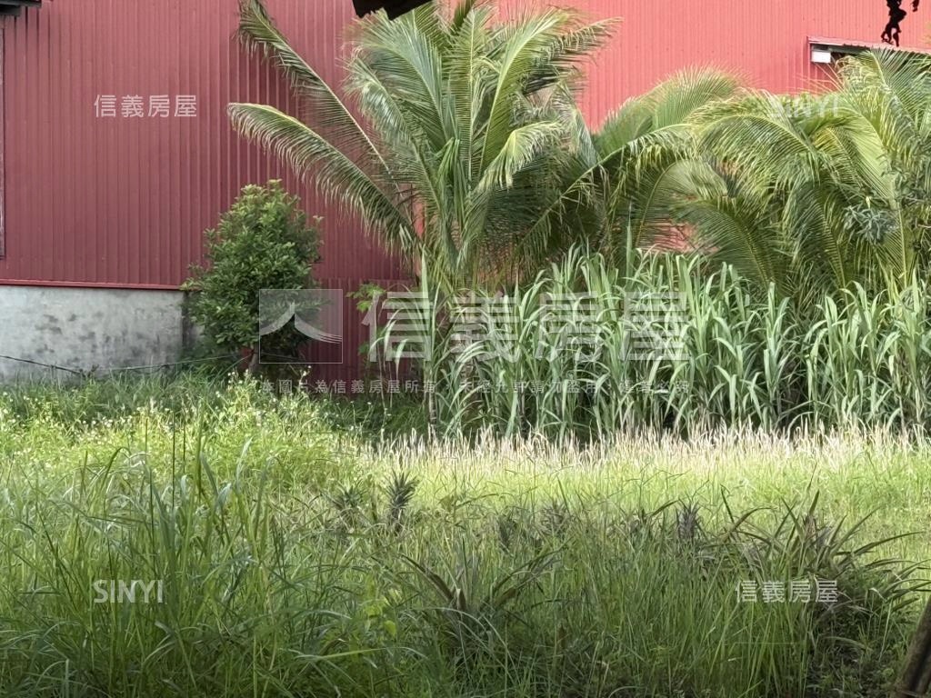 仁德方正臨路百坪農地房屋室內格局與周邊環境