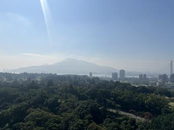 觀海稀有釋出球場景觀大戶