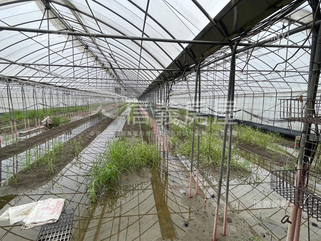 嘉義縣擴大縣治市地重劃案房屋室內格局與周邊環境