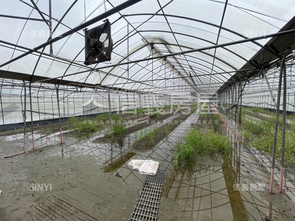 嘉義縣擴大縣治市地重劃案房屋室內格局與周邊環境