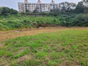 市心綠洲，稀有境地放售