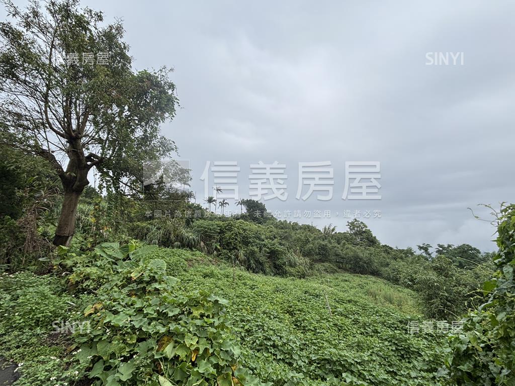 永公路千坪土地房屋室內格局與周邊環境