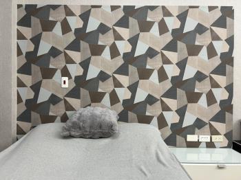 投資首選．精緻８５套房