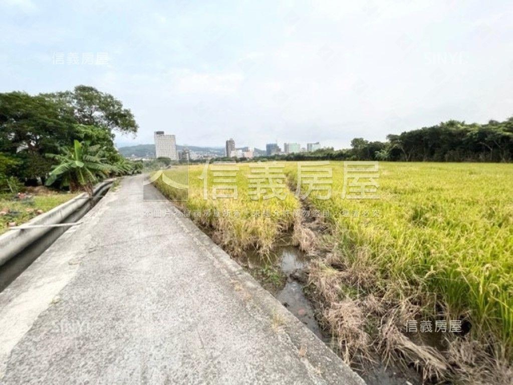 【關渡平原】豐年段農地房屋室內格局與周邊環境