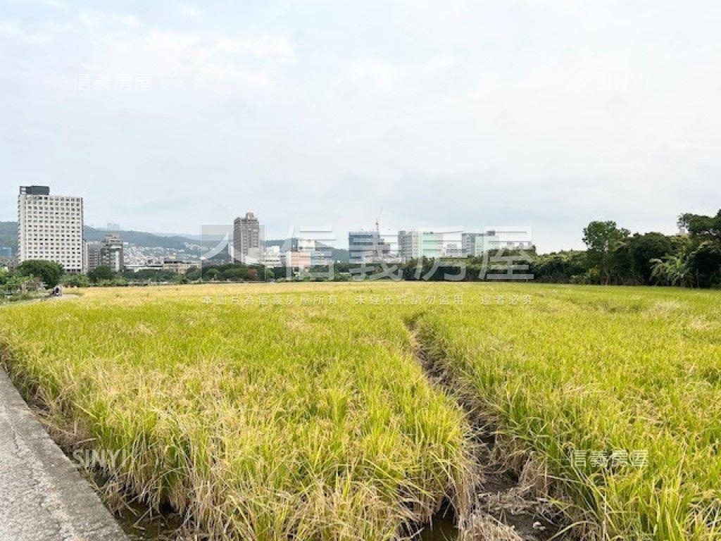 【關渡平原】豐年段農地房屋室內格局與周邊環境