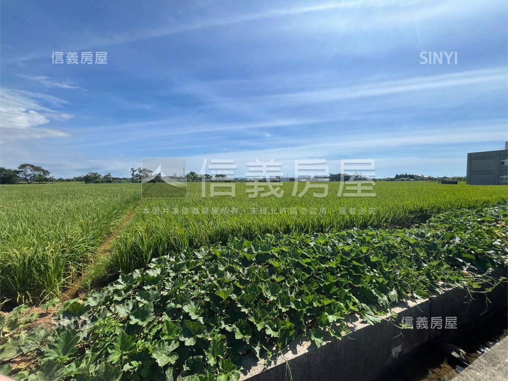 新豐農地２房屋室內格局與周邊環境
