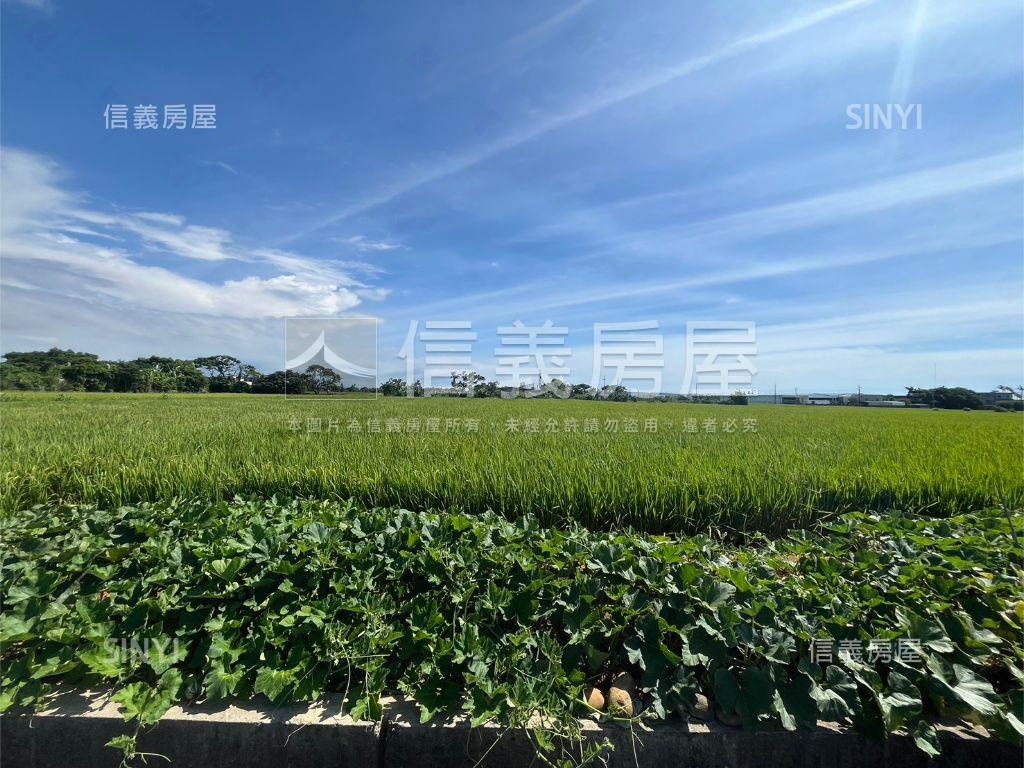 新豐農地２房屋室內格局與周邊環境