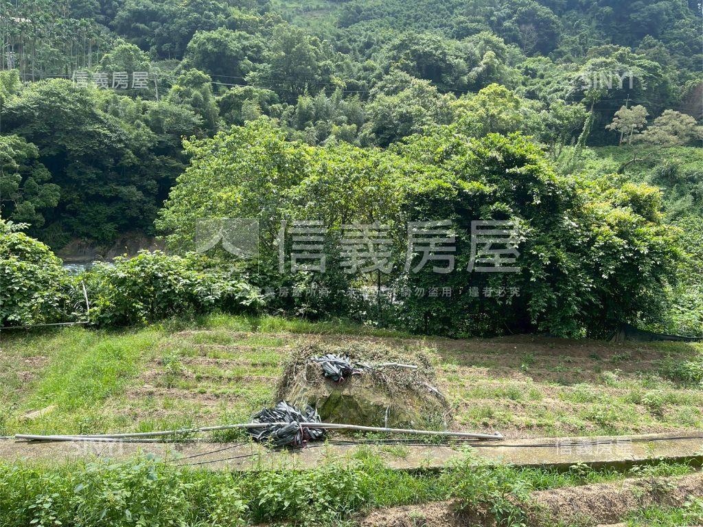 大湖段７６８農牧地房屋室內格局與周邊環境