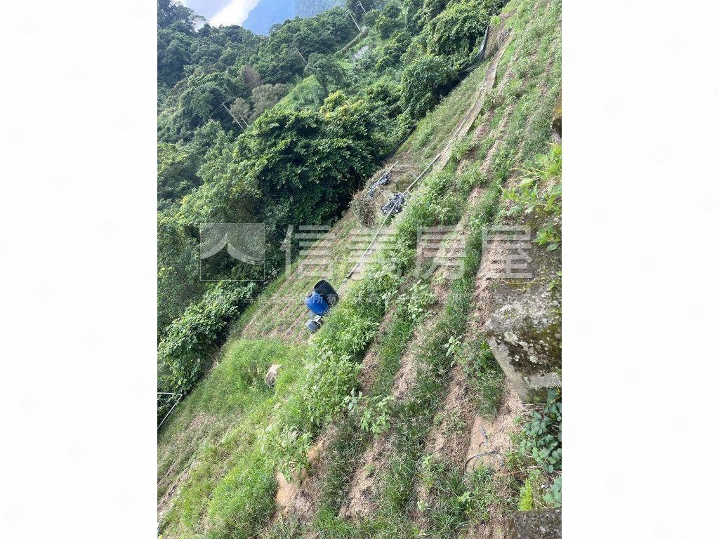 大湖段７６８農牧地房屋室內格局與周邊環境