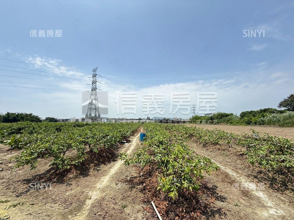 氣場很好的燕巢開心農場房屋室內格局與周邊環境