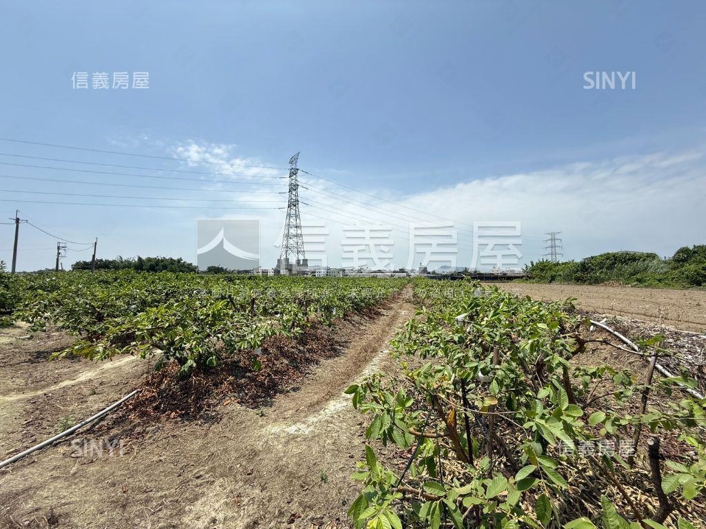 氣場很好的燕巢開心農場房屋室內格局與周邊環境