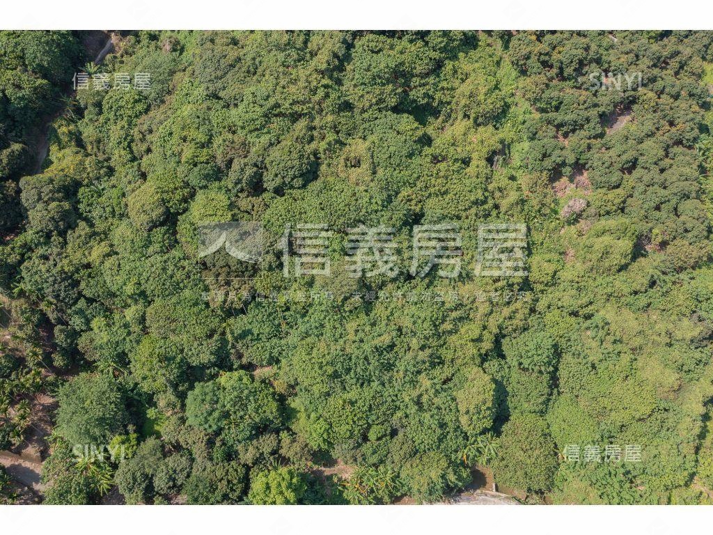 太平七星段３１４０坪農地房屋室內格局與周邊環境