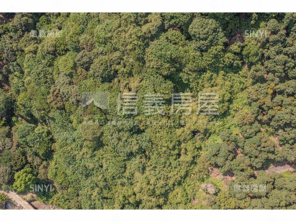 太平七星段３１４０坪農地房屋室內格局與周邊環境
