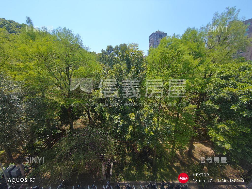 看哪！陽光！樹海！雙公園房屋室內格局與周邊環境