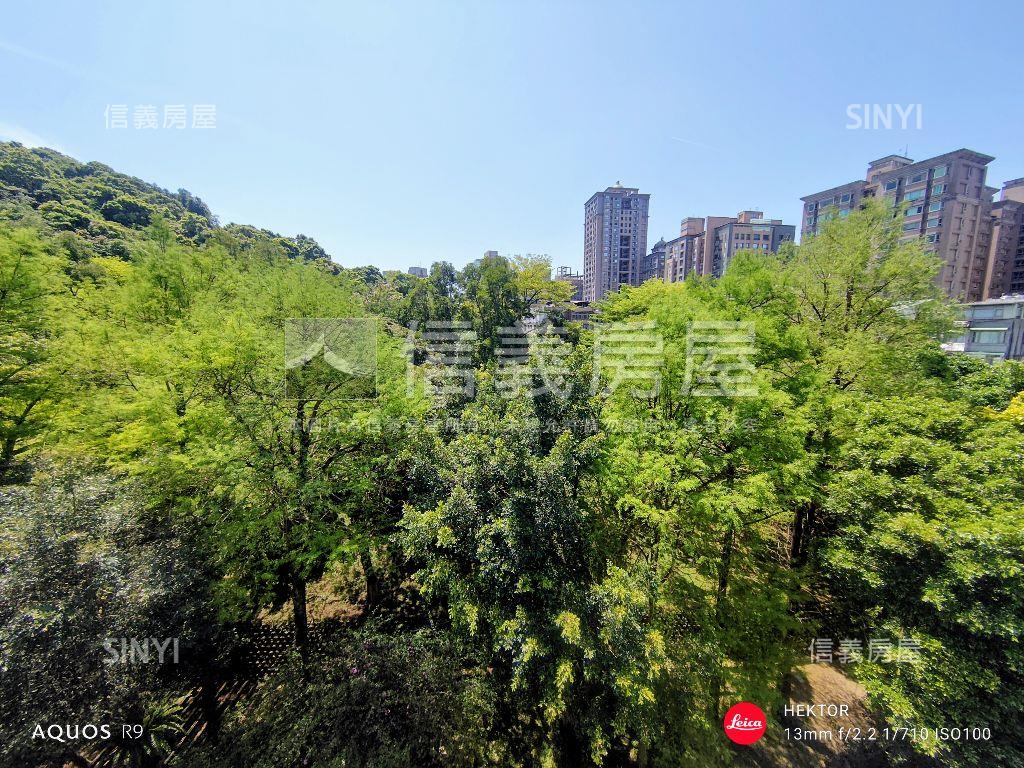 看哪！陽光！樹海！雙公園房屋室內格局與周邊環境