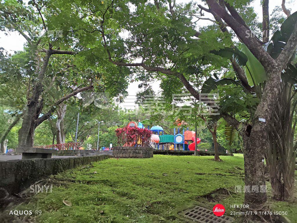 看哪！陽光！樹海！雙公園房屋室內格局與周邊環境