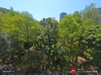 看哪！陽光！樹海！雙公園