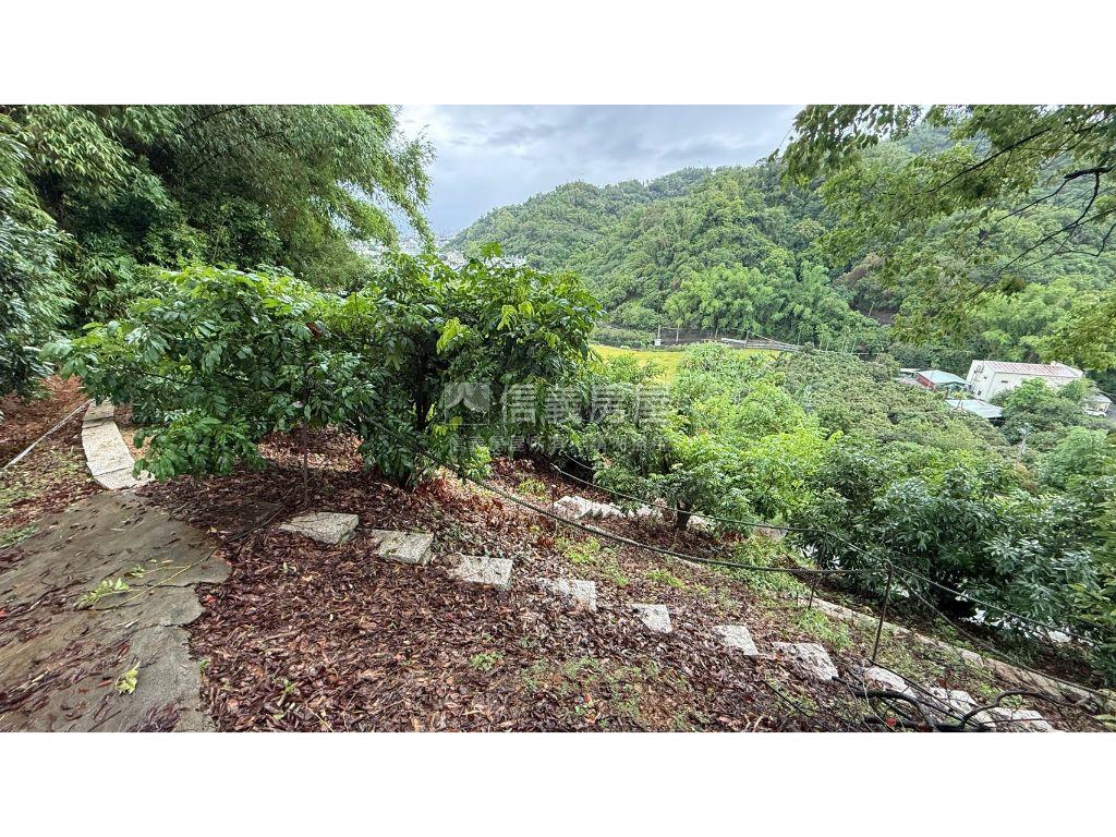 近國６千坪有產值荔枝園房屋室內格局與周邊環境