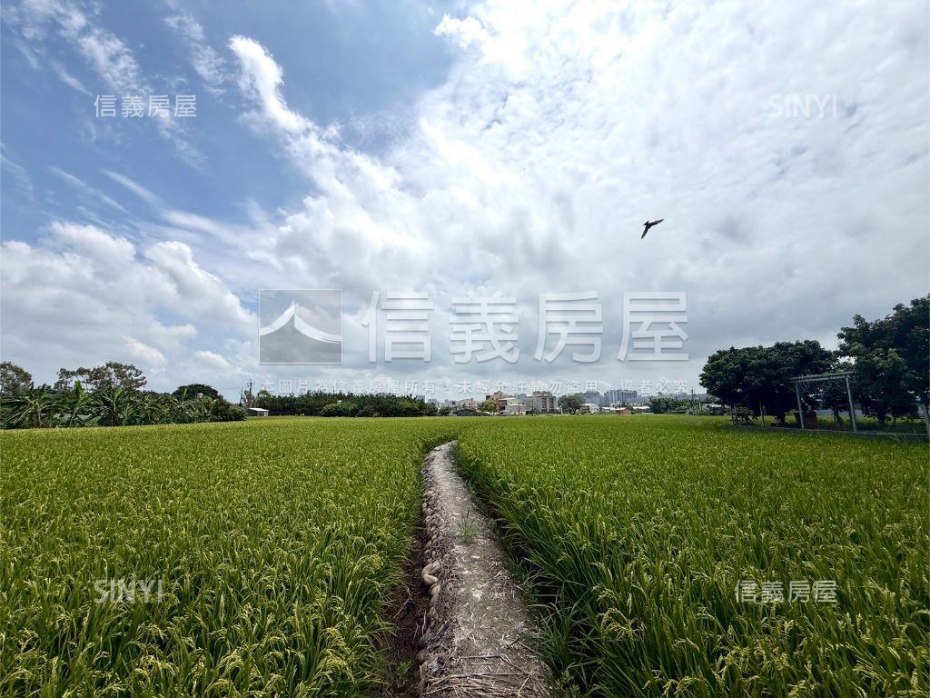 西屯大地坪農地房屋室內格局與周邊環境