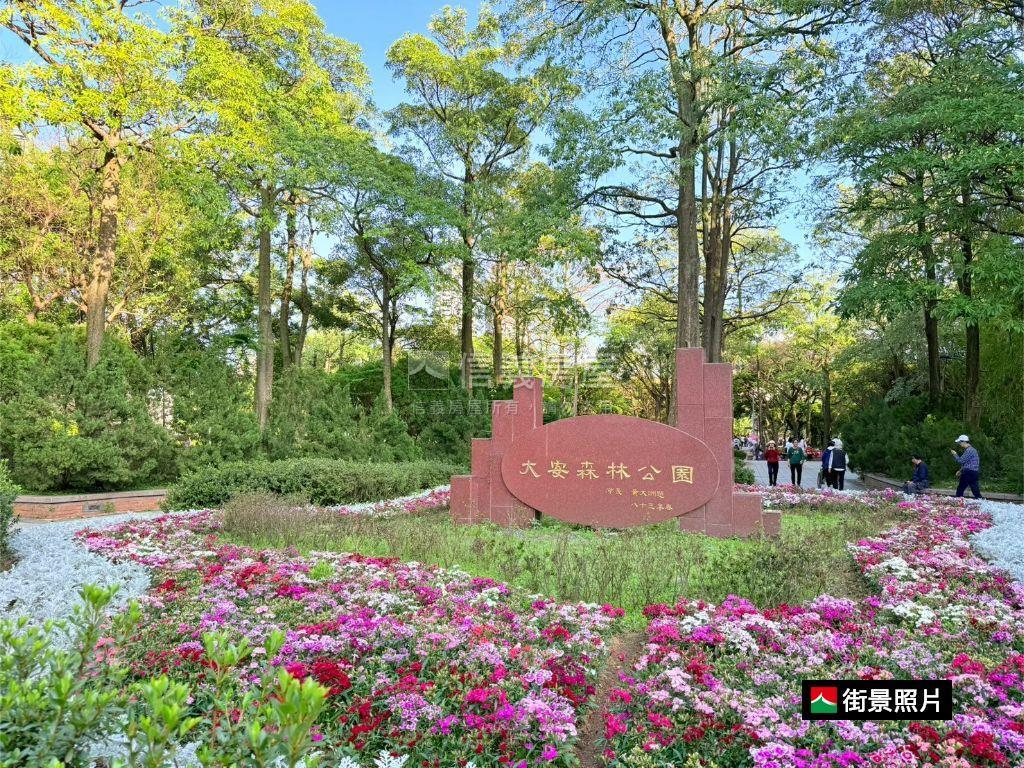 漫遊信義路房屋室內格局與周邊環境