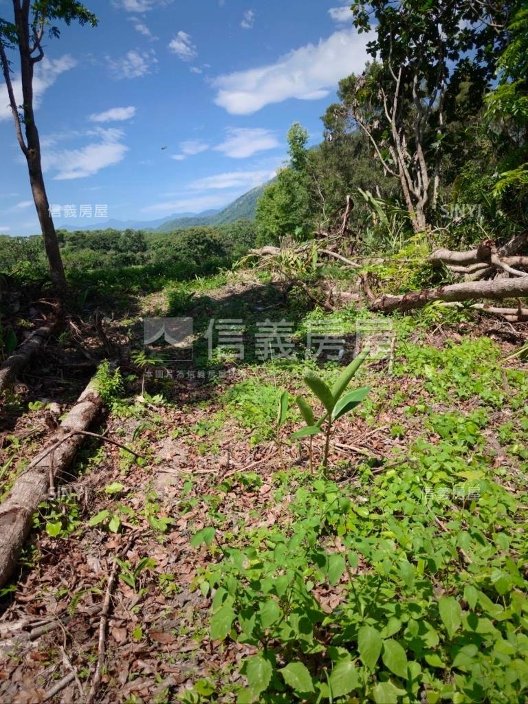 近東華大學臨路方正農地房屋室內格局與周邊環境
