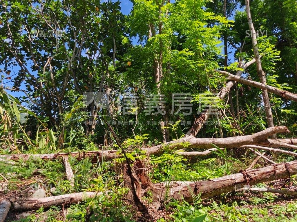 近東華大學臨路方正農地房屋室內格局與周邊環境