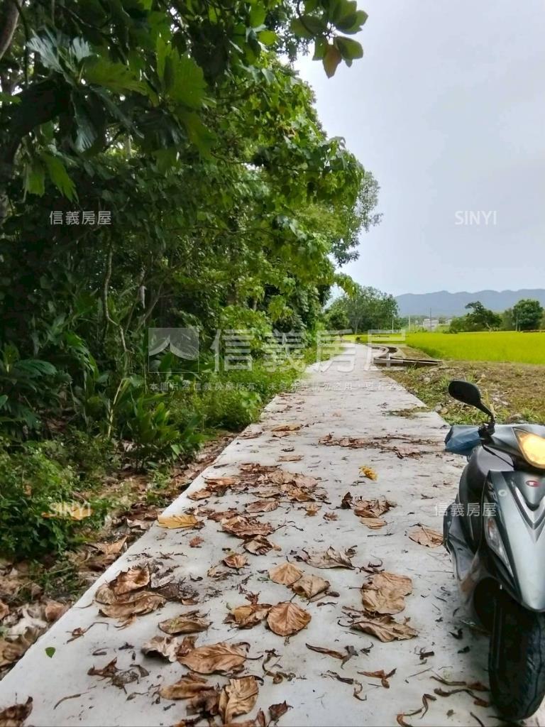 近東華大學臨路方正農地房屋室內格局與周邊環境