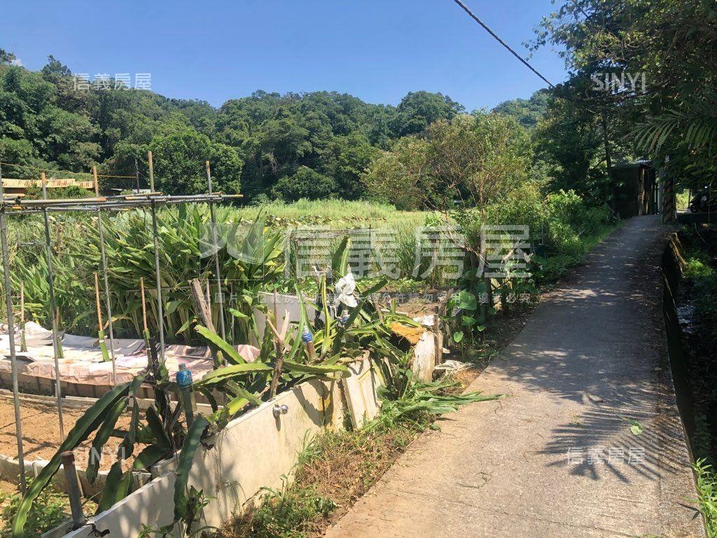 內湖大湖稀有土地房屋室內格局與周邊環境