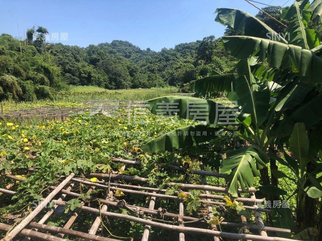 內湖大湖稀有土地房屋室內格局與周邊環境