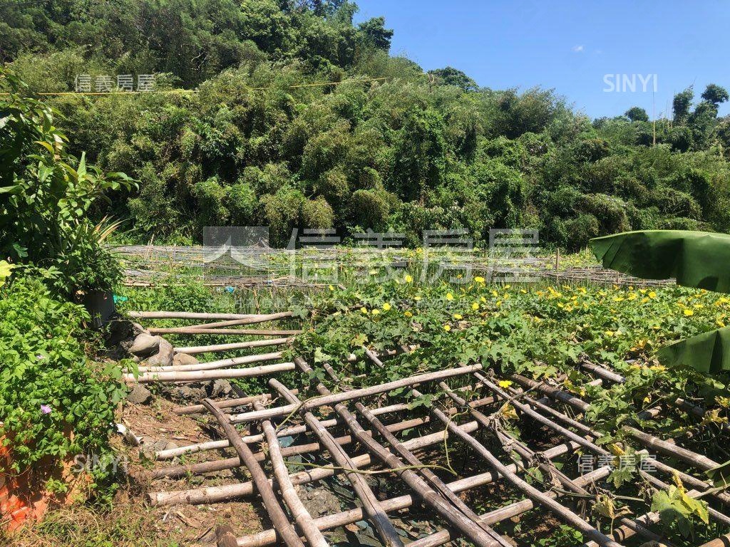 內湖大湖稀有土地房屋室內格局與周邊環境