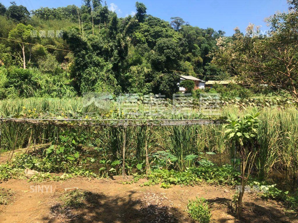 內湖大湖稀有土地房屋室內格局與周邊環境