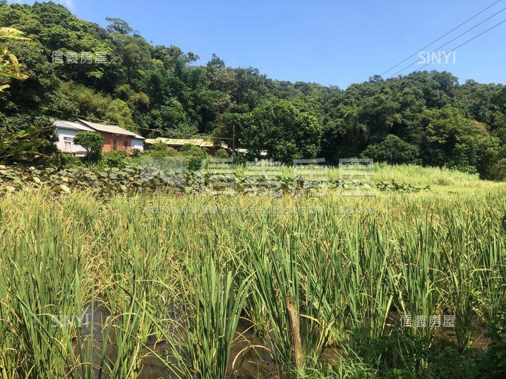 內湖大湖稀有土地房屋室內格局與周邊環境