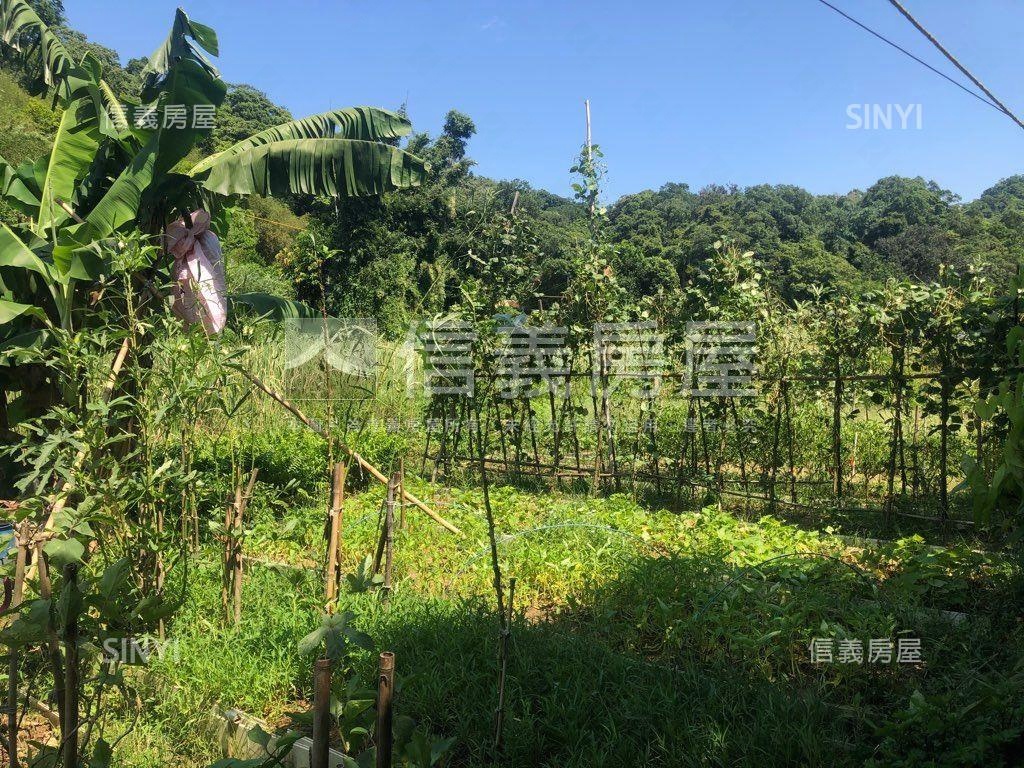 內湖大湖稀有土地房屋室內格局與周邊環境