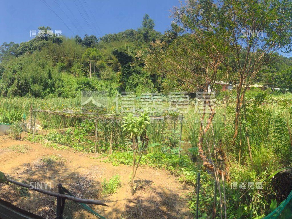 內湖大湖稀有土地房屋室內格局與周邊環境
